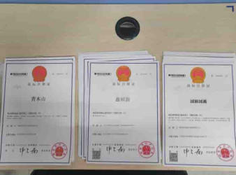 注冊(cè)公司 代理記賬公司注冊(cè)提供個(gè)體戶注冊(cè)、內(nèi)資公司注冊(cè)服務(wù)